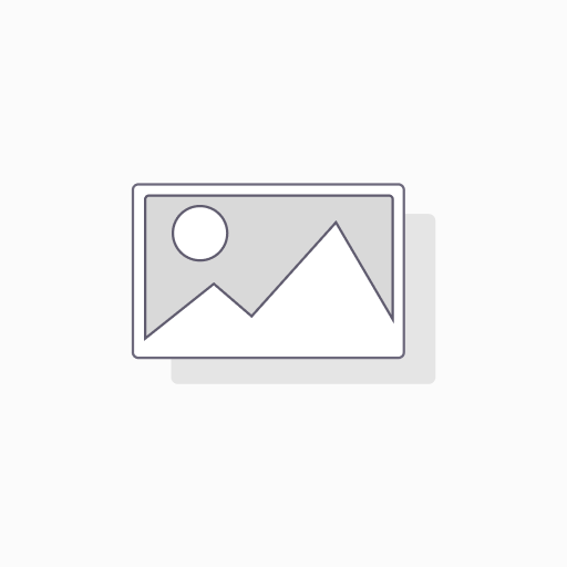 ATMA-TIC TF68 - Imprimante sérigraphique haute précision avec caméra